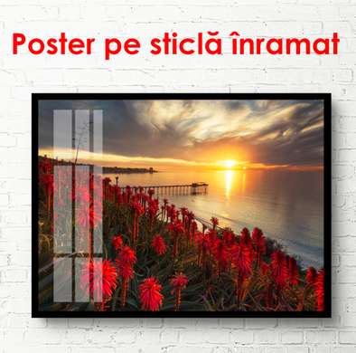 Poster - Flower field at sunset, 90 x 60 см, Framed poster, Nature