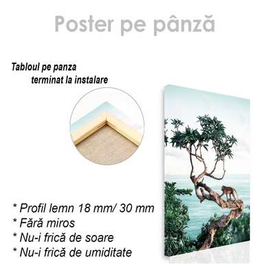 Постер - Обезьяна на дереве, 60 x 90 см, Постер на Стекле в раме, Природа