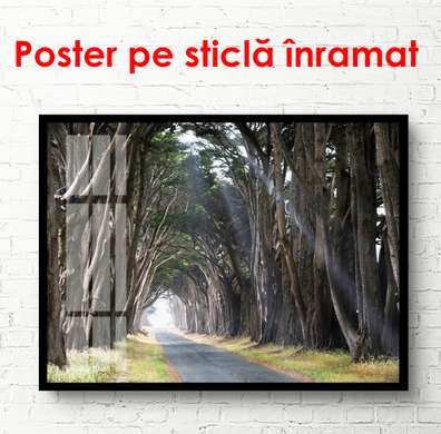 Poster - Pădurea de toamnă, 90 x 60 см, Poster înrămat, Natură
