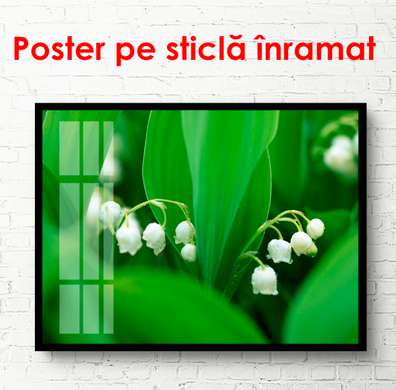 Постер - Белые весенние цветы, 90 x 60 см, Постер в раме, Цветы