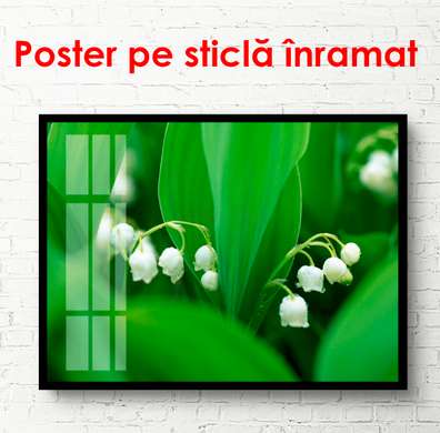 Poster - White spring flowers, 90 x 60 см, Framed poster, Flowers