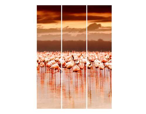 Paravan cu flamingo roz la apusul soarelui., 7