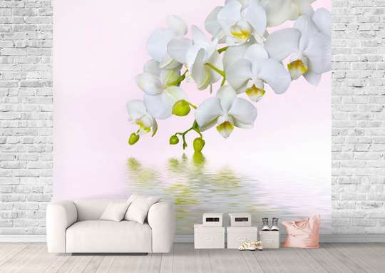 Wall Mural - Luxurious orchid by the water