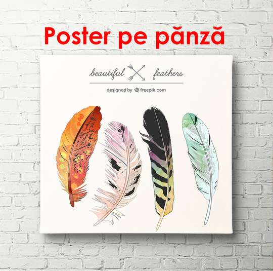 Постер - Перья жар птиц, 100 x 100 см, Постер в раме