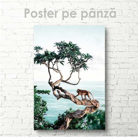 Poster - Monkey on a tree, 30 x 45 см, Canvas on frame