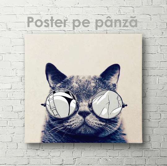 Poster, Fashion cat, 40 x 40 см, Canvas on frame, Animals