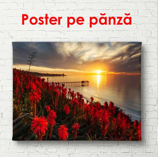 Poster - Flower field at sunset, 90 x 60 см, Framed poster