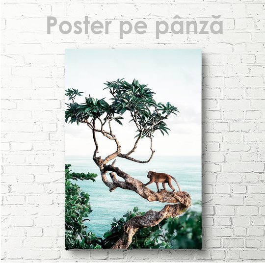 Poster, Maimuță în un copac, 30 x 45 см, Panza pe cadru