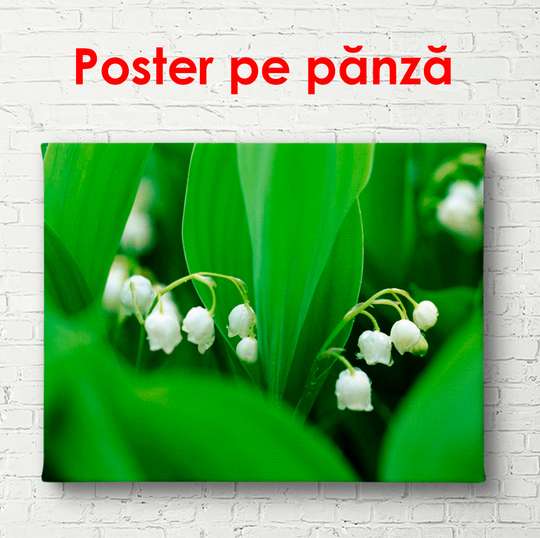 Poster - Flori albe de primăvara, 90 x 60 см, Poster înrămat