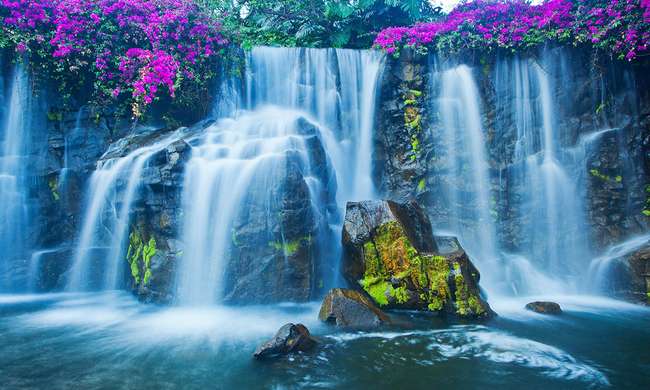 Modular picture, Waterfall and lilac flowers., 198 x 115