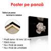 Poster - Delicate rose on a black background, 100 x 100 см, Framed poster, Flowers