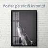 Poster - Shark, 30 x 60 см, Canvas on frame, Black & White