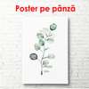 Poster - Green twig on a white background, 60 x 90 см, Framed poster, Botanical