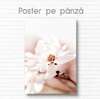 Poster - Delicate Magnolia, 60 x 90 см, Framed poster on glass, Flowers