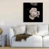 Poster - Delicate rose on a black background, 100 x 100 см, Framed poster, Flowers