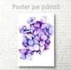 Poster - Flori violete, 30 x 45 см, Panza pe cadru, Flori