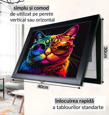 Tablou Multifuncțional - Pisica multicolora, 40x60cm, Ramă neagră