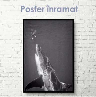 Постер - Акула, 30 x 60 см, Холст на подрамнике, Черно Белые