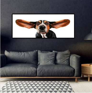 Poster, Câine pe un fundal alb, 90 x 60 см, Poster înrămat, Animale