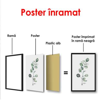 Постер - Зеленая веточка на белом фоне, 60 x 90 см, Постер в раме, Ботаника