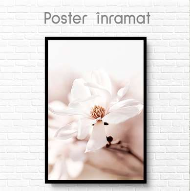 Постер - Нежная магнолия, 60 x 90 см, Постер на Стекле в раме, Цветы