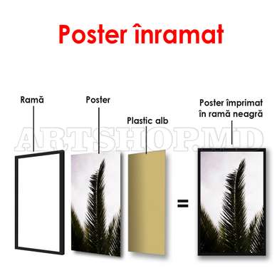 Poster - Palma, 60 x 90 см, Poster înrămat, Alb Negru
