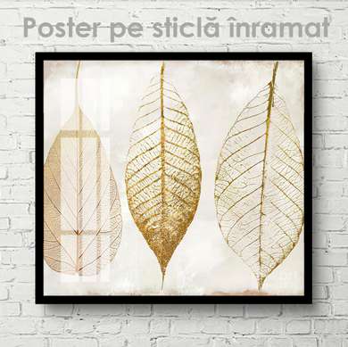 Poster - autumn leaves, 100 x 100 см, Framed poster on glass, Botanical