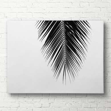 Poster - Frunze de palmier pe un fond gri, 90 x 60 см, Poster înrămat, Alb Negru