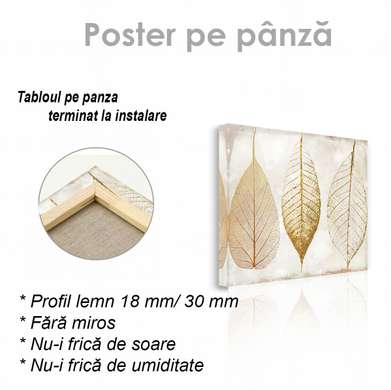 Poster - autumn leaves, 100 x 100 см, Framed poster on glass, Botanical