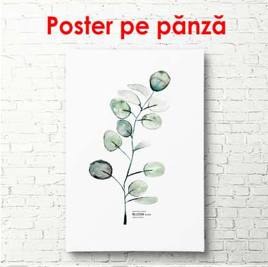 Poster - Crenguță verde pe un fundal alb, 60 x 90 см, Poster înrămat, Botanică