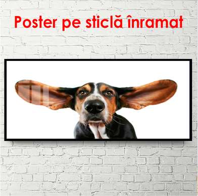 Постер, Собачка на белом фоне, 90 x 60 см, Постер в раме, Животные