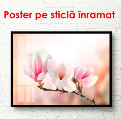 Постер - Нежные розовые магнолии на темном розовом фоне, 90 x 45 см, Постер в раме, Цветы