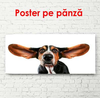 Poster, Câine pe un fundal alb, 90 x 60 см, Poster înrămat, Animale