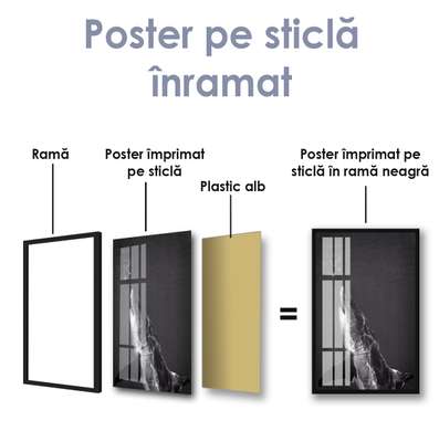 Poster - Rechin, 30 x 60 см, Panza pe cadru, Alb Negru