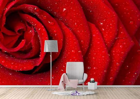 Wall Mural - Red rose petals