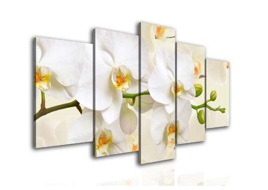 Modular picture, White orchid on a beige background., 108 х 60