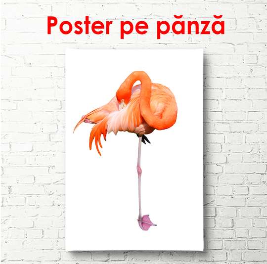 Poster - Flamingo pe fundal alb, 30 x 60 см, Panza pe cadru