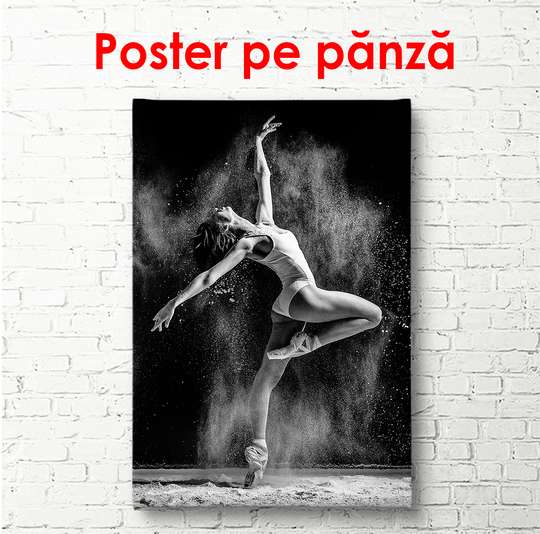 Постер - Балерина в танце, 30 x 45 см, Холст на подрамнике, Ню