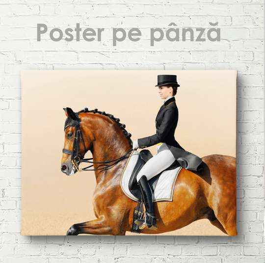 Постер, Конный спорт, 45 x 30 см, Холст на подрамнике, Животные