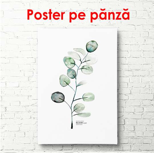 Poster - Green twig on a white background, 60 x 90 см, Framed poster