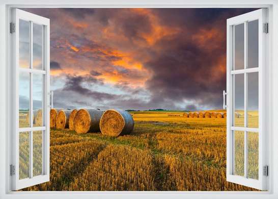Wall Sticker - 3D window with sunset view in wheat field, Window imitation