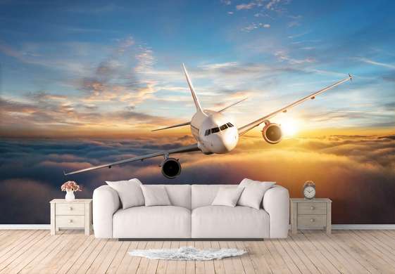 Wall Mural - Airplane in the sky