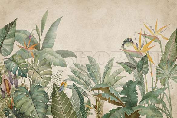 Wall mural - The tropical forest