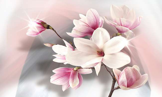 Modular picture, Delicate flower on a pink background., 106 x 60, 106 x 60
