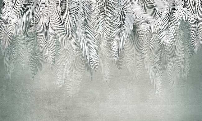 Фотообои - Абстрактные перья на бледно-зеленовато-сером фоне