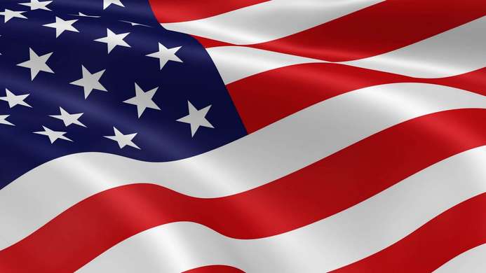 Fototapet - Steag SUA