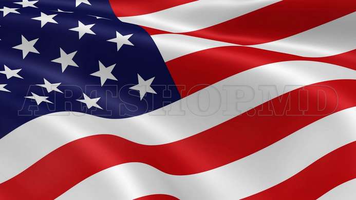 Wall Mural - USA flag