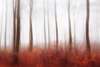 Poster - Autumn forest landscape, 90 x 60 см, Framed poster on glass, Nature