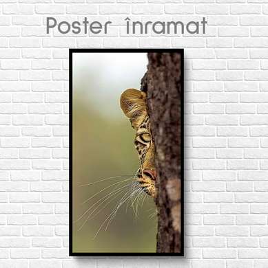 Poster, Gaze of the Predator, 30 x 45 см, Canvas on frame, Animals
