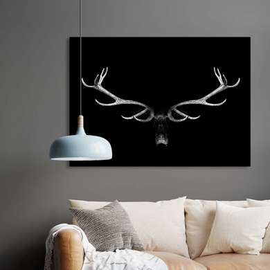 Poster, Horns, 45 x 30 см, Canvas on frame, Animals